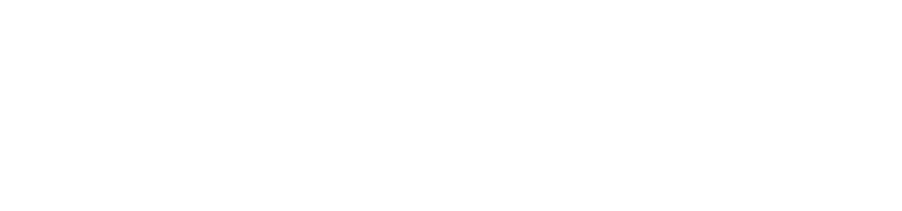 Rapidlyhost logo